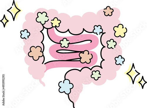 腸のイラスト
