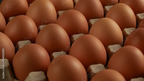 fresh chicken eggs in cardboard photo