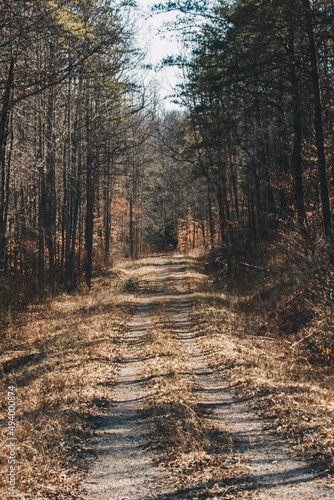 Forest Road