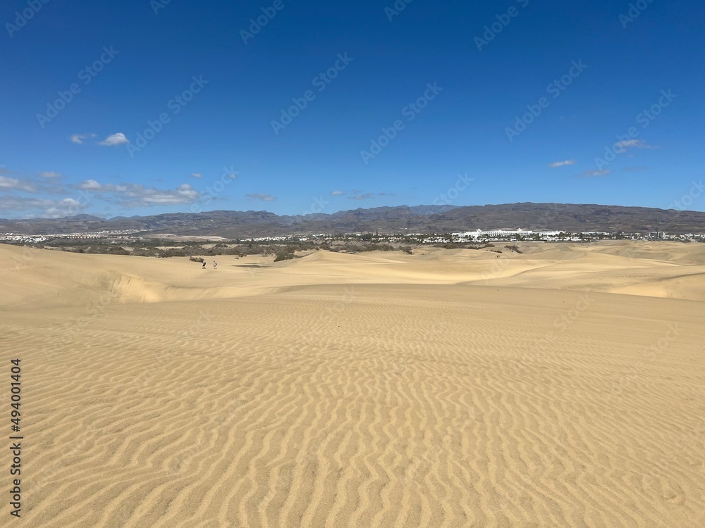 Maspalomas sand dunes on the island of Gran Canaria 