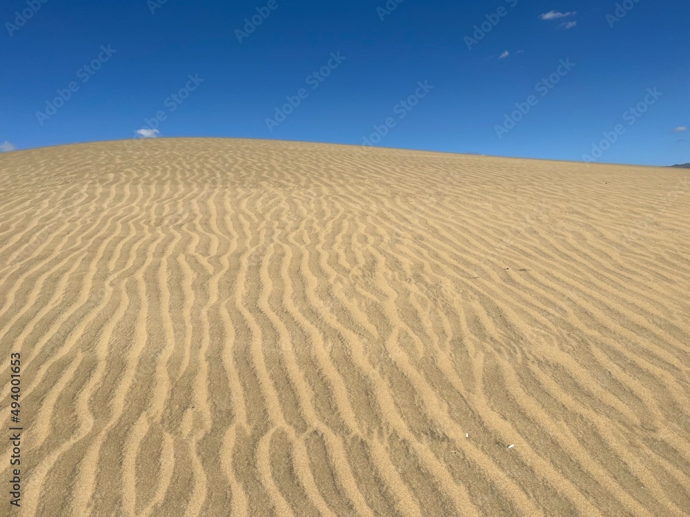Maspalomas sand dunes on the island of Gran Canaria Maspalomas sand dunes on the island of Gran Canaria