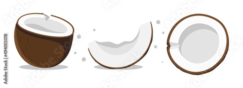 Coconut set of three different types Vector illustration isolated on white background