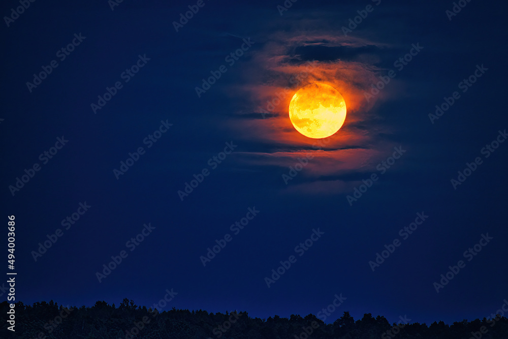 Beautiful moon in the twilight sky