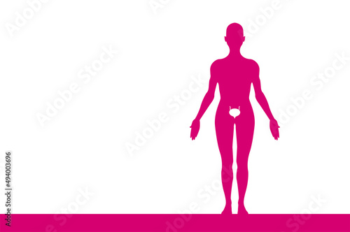 sagoma, organi corpo umano, medicina