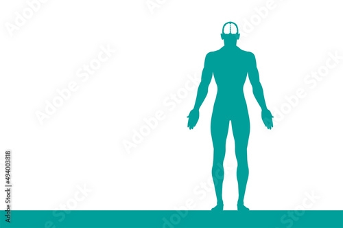 sagoma, organi corpo umano, medicina