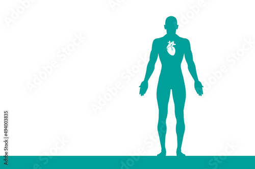 sagoma, organi corpo umano, medicina