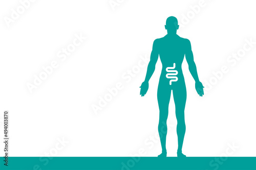 sagoma, organi corpo umano, medicina