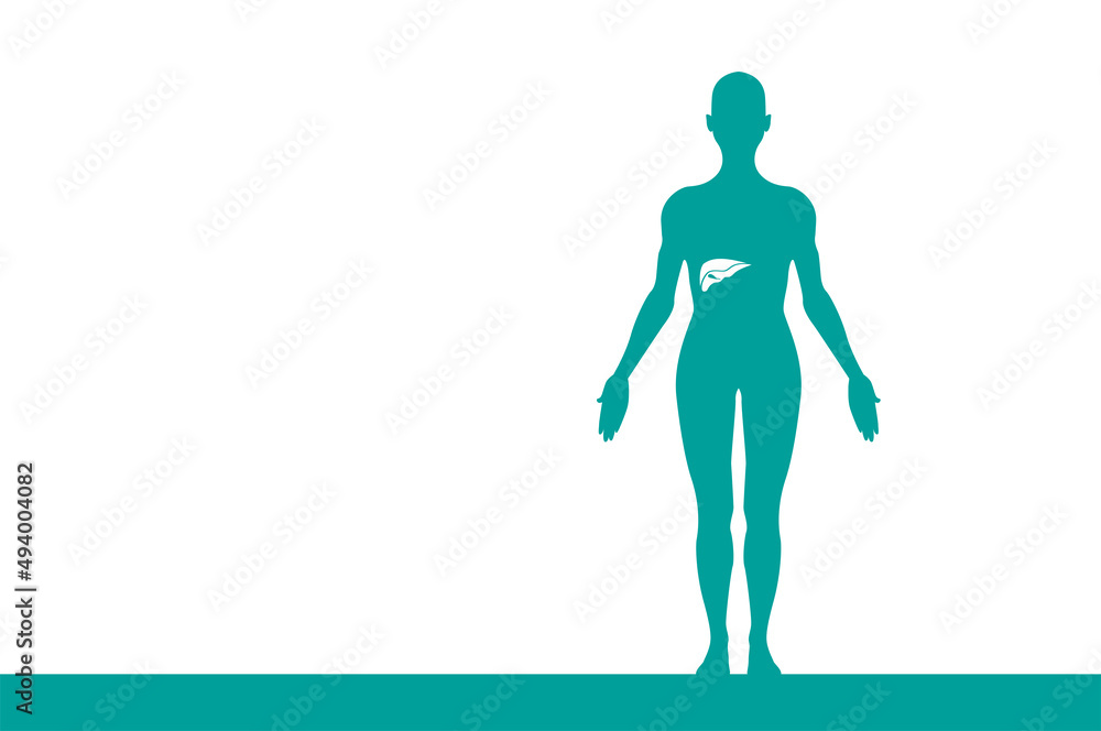 sagoma, organi corpo umano, medicina sagoma, organi corpo umano, medicina