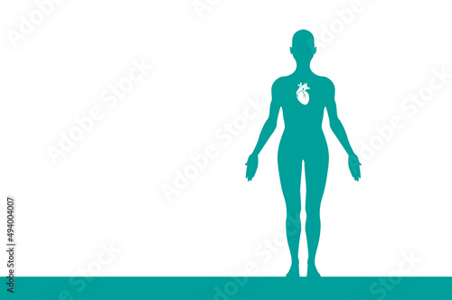 sagoma, organi corpo umano, medicina