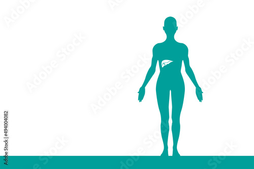 sagoma, organi corpo umano, medicina