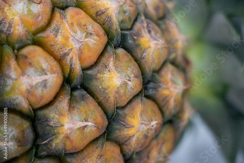 macro Pineapple skin, raaw Pineapple close-up