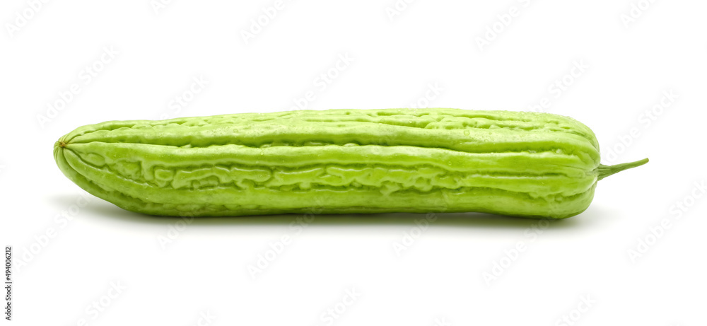 Fresh green bitter cucumber or chinese bitter gourd with droplets of water isolated on white background. Fresh green bitter cucumber or chinese bitter gourd with droplets of water isolated on white background.