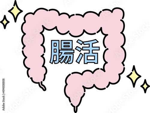 腸のイラスト