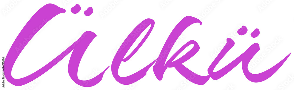 Ülkü Ülkü