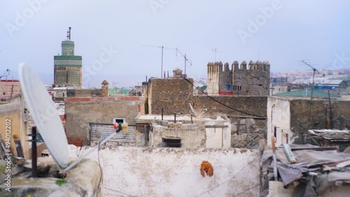 A chicken walking on a wall and falling from it with old city of Fes in the background.