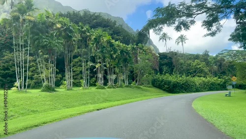 Road in the mountains. The road going under lush trees and blue clouds.
