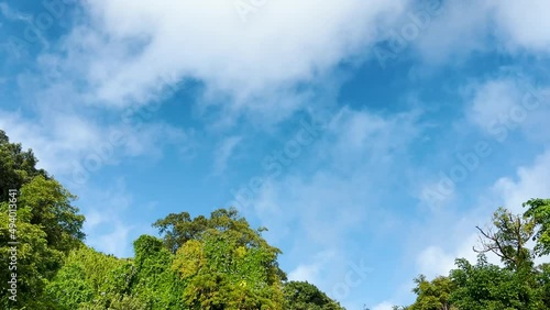 Sky and clouds. Trees and passing blue clouds.