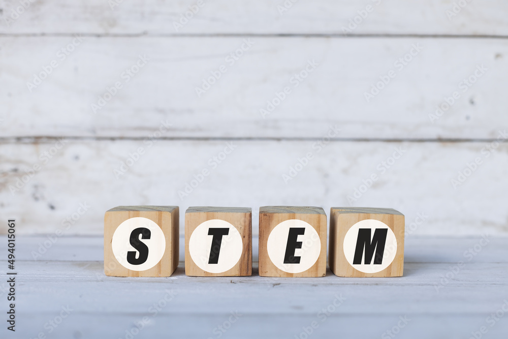 stem concept written on wooden cubes or blocks, on white wooden background.