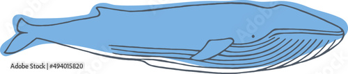 Blue Whale Sketch Hand Drawn Illustration