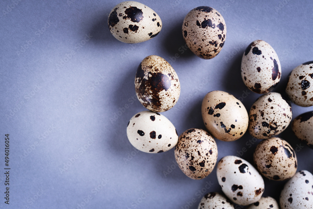 Fototapeta premium Easter composition. Easter background. Easter quail eggs. Quail eggs on gray background