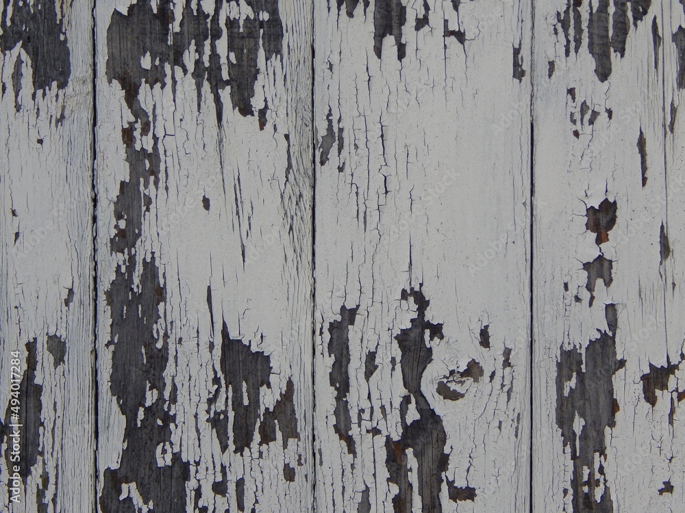 Peinture blanche écaillée sur de vieilles planches d'une porte ou barrière  en bois Stock Photo