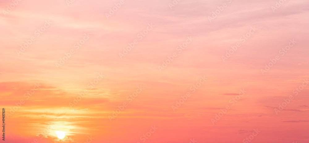 Evening sky,Pink sky background with romantic colorful sunlight with orange, yellow and dramatic nature background.