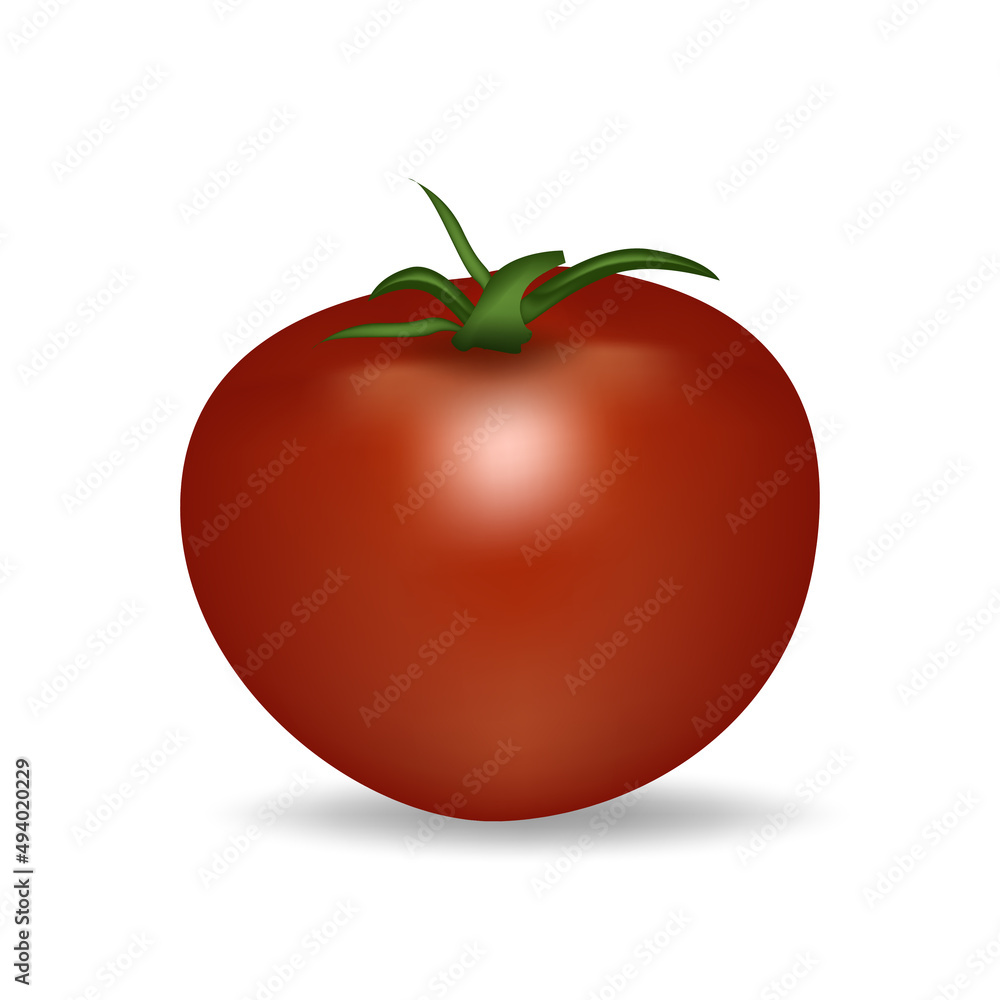 Realistic red tomato isolated on white background. Vector illustration. Realistic red tomato isolated on white background. Vector illustration.