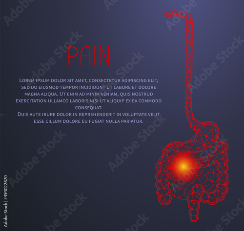 Polygonal stomach and intestines. Medical research of internal organs, innovative approach concept. Human digestive system pain. Modern depiction of organs for digesting and assimilating food