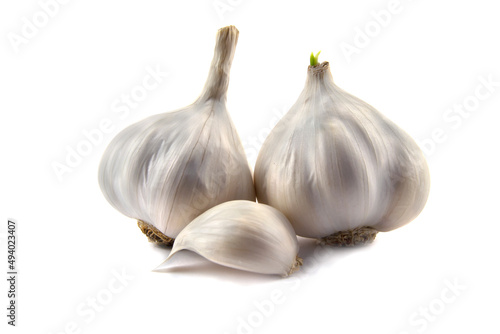 Garlic clove and bulb isolated on a white background.