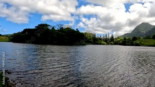 Lake and green trees shining under the clouds.