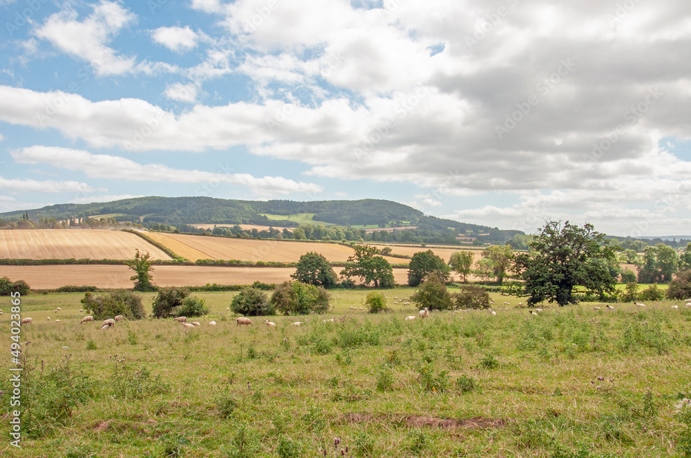 Summertime scenery around Herefordshire, England. Summertime scenery around Herefordshire, England.