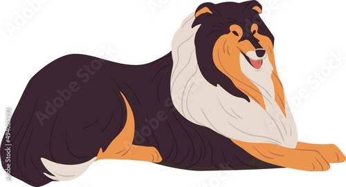 Hairy Collie Dog Resting Illustration