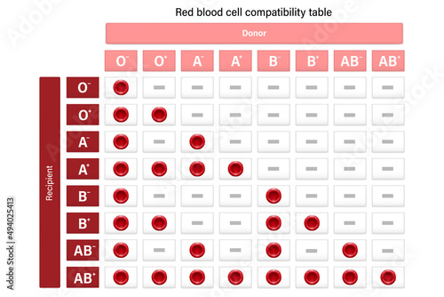 Compatibility of blood types. Blood donation. Donor and recipient.
