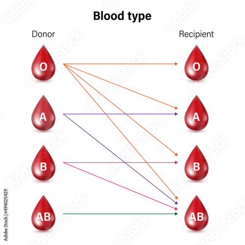 Compatibility between groups for donating and receiving blood. Donor and recipient.