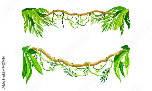 Fototapeta Naklejka Na Ścianę i Meble -  Tropical jungle woody liana. Exotic tropical plants cartoon vector illustration
