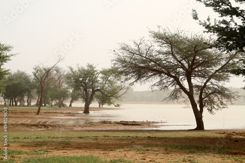 Fotografie Bords du lac - Burkina Faso