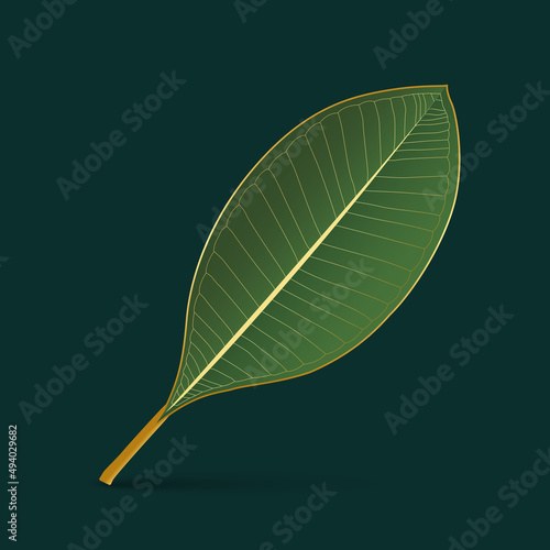 Golden leaves with plant line arts on nature green background. vector tropical leaves