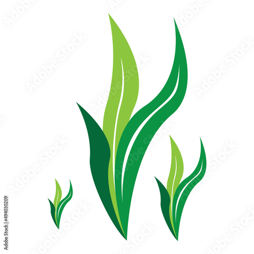 leaf logo vector ilustration design and icon
