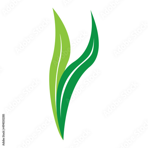 leaf logo vector ilustration design and icon
