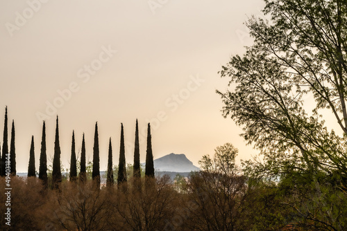 the Sainte Victoire mountain in the light of a spring morning