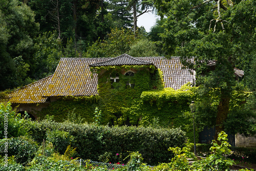 Foresta de Buçaco, Luso - Portugal - July, 2021