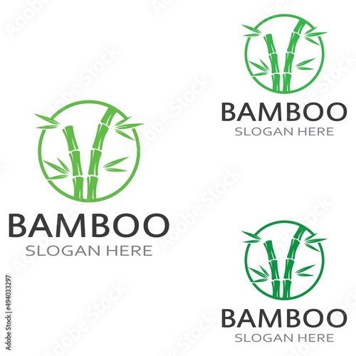 Logo of a bamboo plant or a type of hollow plant. Using a modern illustration business vector concept design