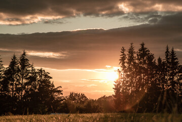Wandcirkels Bruin Zonsondergang boven landelijk veld  © Tamás Madarász/Wirestock Creators