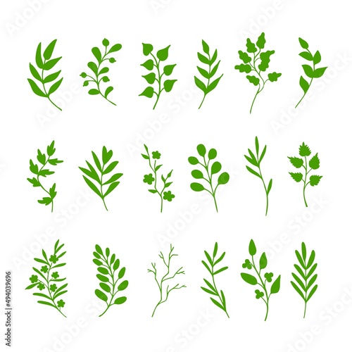 Green leaves and twigs. Hand drawn springtime set of design elements