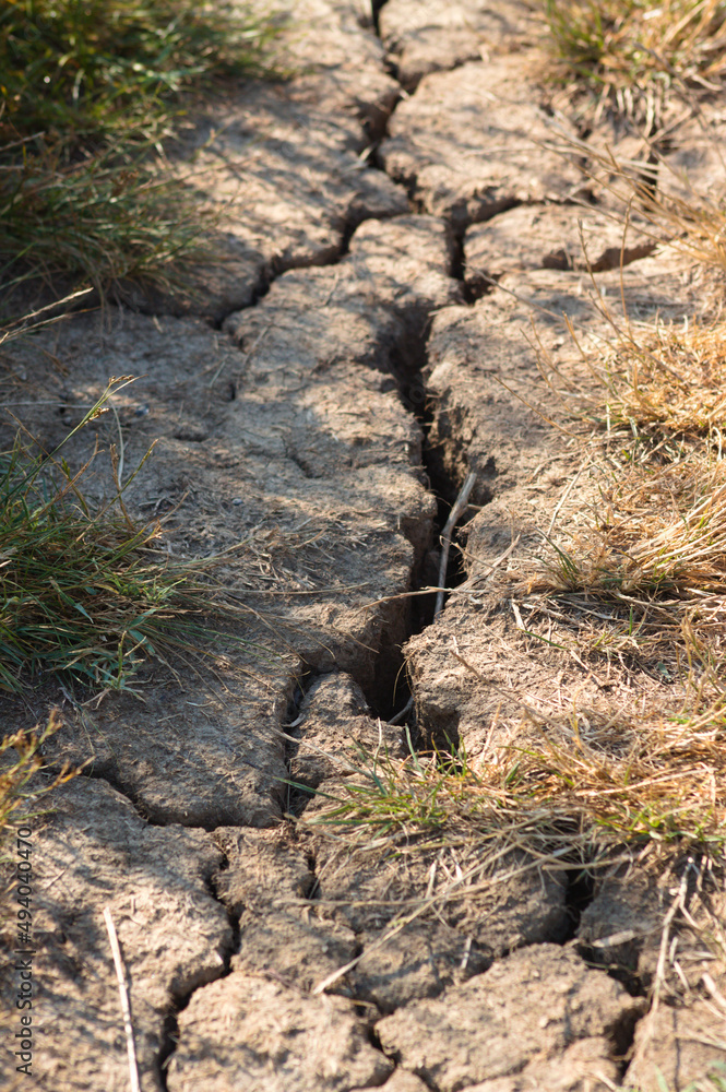 Closeup of drought-cracked earth with tufts of grass and selective focus on foreground