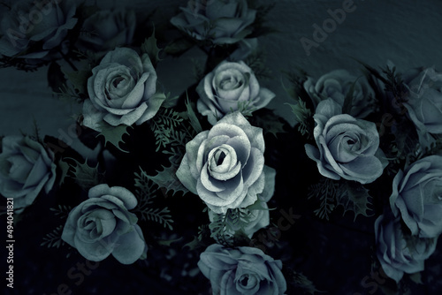 Flowers in a cemetery