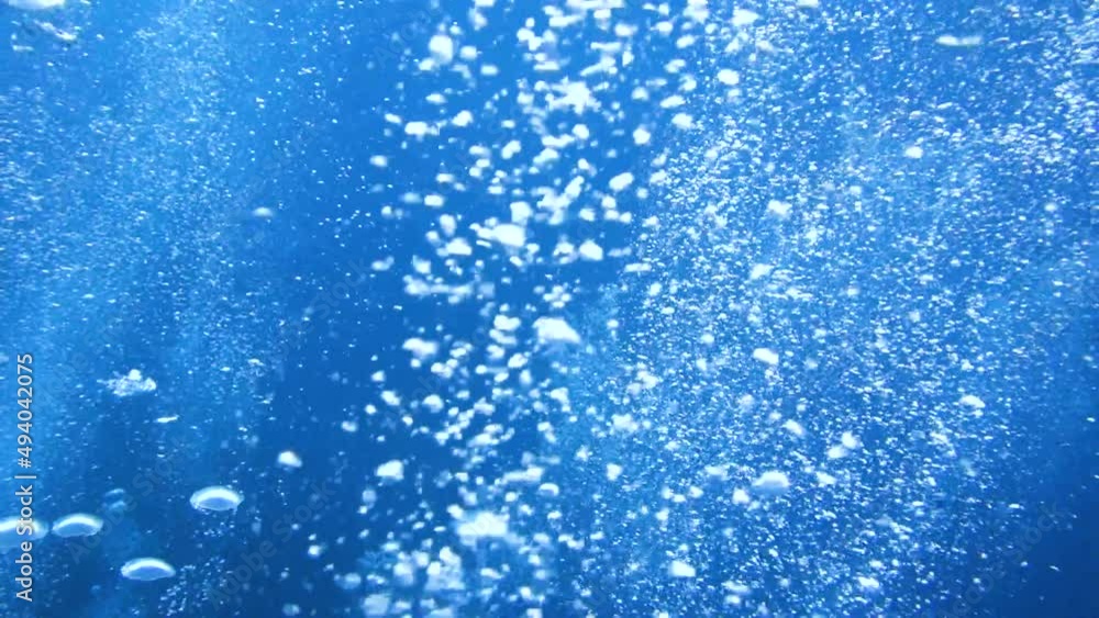 Underwater scene with air bubbles floating up through the water. Underwater scene with air bubbles floating up through the water.