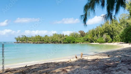 Beach with palm trees and sea. Images from a beach on the coast of the Pacific Ocean.