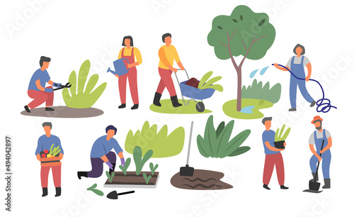 People working in garden vector. Man and Woman backyard with plants. Summer outdoor works