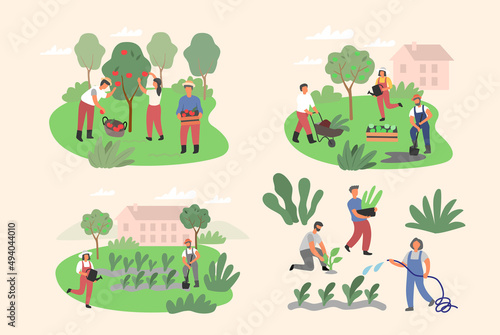 People working in garden vector. Man and Woman backyard with plants. Summer outdoor works